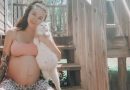 Pregnant Woman And Cat Give Birth At The Same Time After She Found The Pregnant Cat And Fostered Her