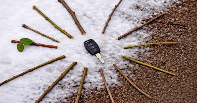 This Morning I Lost My Car Key During a Run in the Forest. What Happened Next Was Beyond My Imagination…