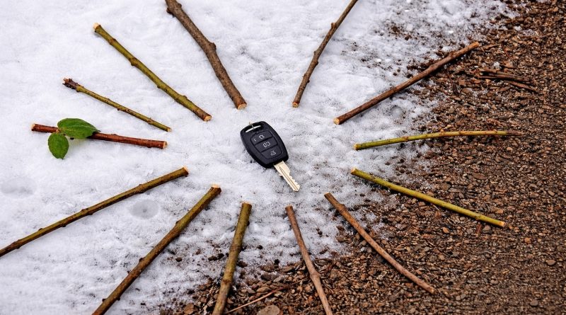 This Morning I Lost My Car Key During a Run in the Forest. What Happened Next Was Beyond My Imagination…