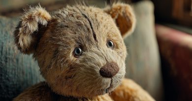 I brought my daughter an old stuffed bear from my childhood. And after a while, it turned out that the toy from my childhood was not as harmless as I thought…